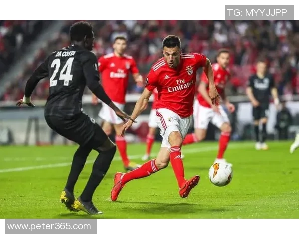 德甲精彩对决阿森纳逆转本菲卡引发争议判罚全场沸腾